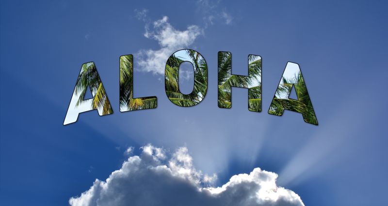 Photo collage of the word Aloha as palm leaves on the sky background