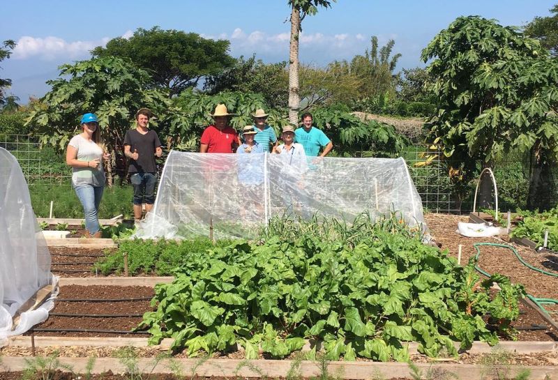 It's lesson time at Kupa'a Farms, Kula, Maui