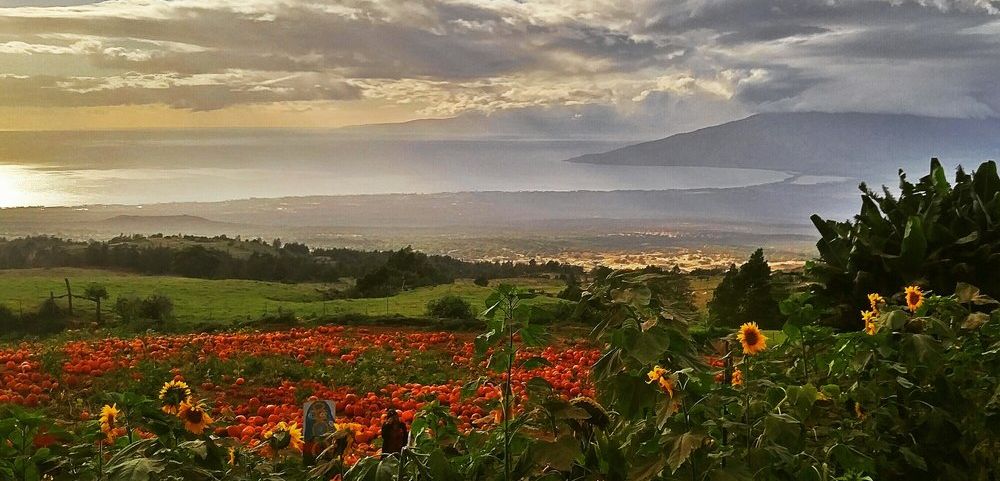 Kula Country Farms, Maui - amazing view of the ocean and island in the background.