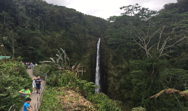 Akaka Falls - the paved walk with the waterfall in the background