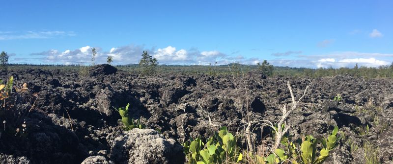 Cape Kumukahi - a'a lava flows from 1960 Kilauea eruption stopped at the base of the lighthouse.