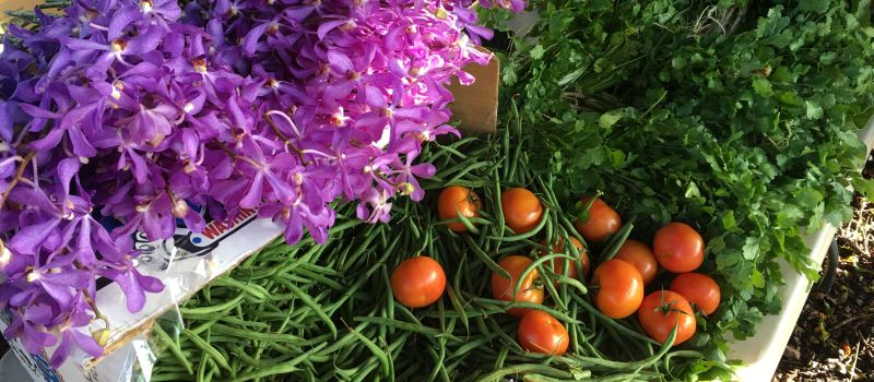 Farmers market in Hawi on Wednesdays; the Big Island, Hawaii