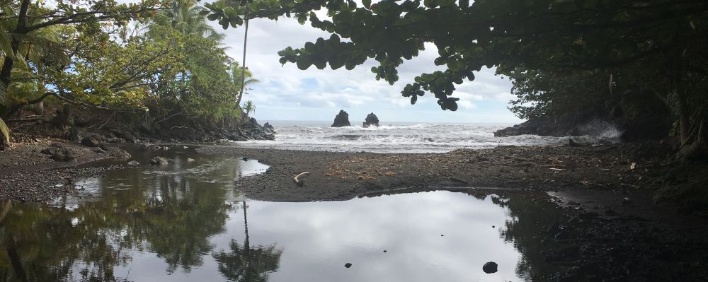 View of Onomea Bay from the end of the Donkey Trail