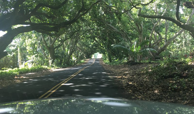 Kalapana-Kapoho (a.k.a. the Red Dirt) Road; view from the car