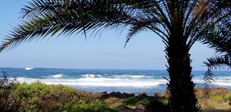 Ali'i Beach park in Haleiwa