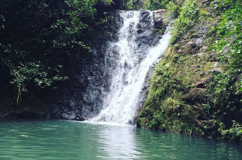 The falls at the end of Laie Falls Trail are small but rewarding