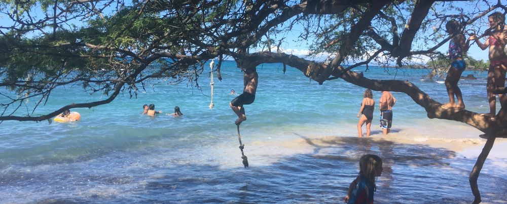 Kids having fun in the old kiawe tree on Beach 69