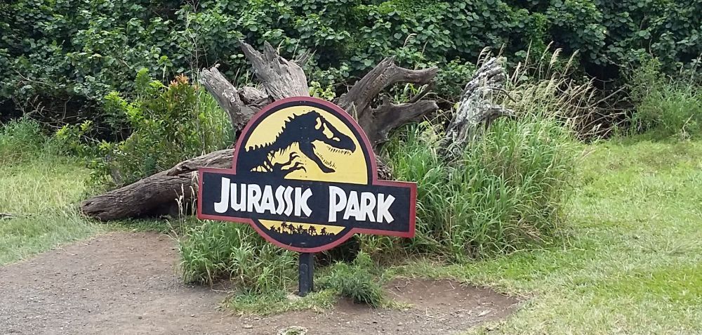 The fallen tree of the Jurassic Park movie - Kualoa Ranch, Kauai