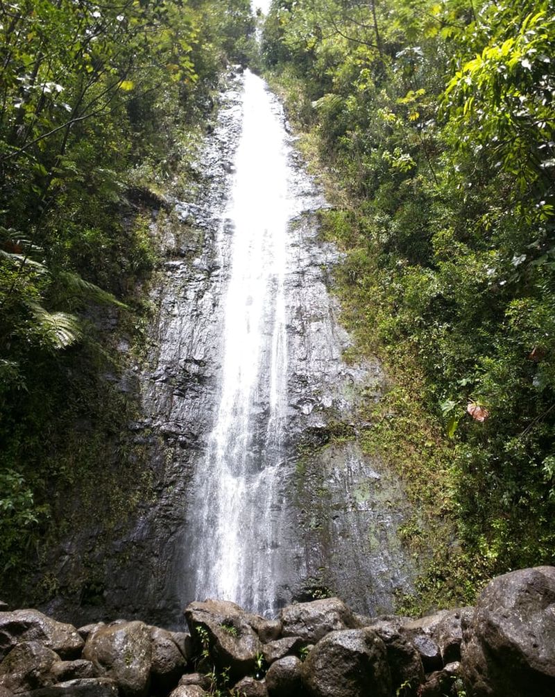 View of Manoa Falls, Oahu
