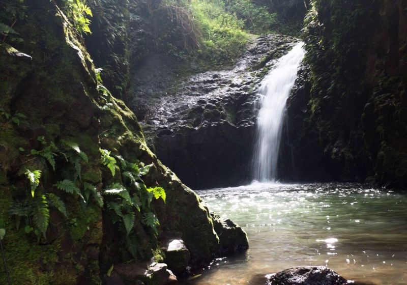 Maunawaili Falls and the pool, Oahu