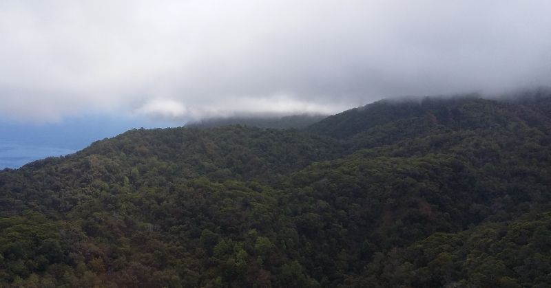 Mount Waialeale, Kauai is one of the wettest spots on Earth