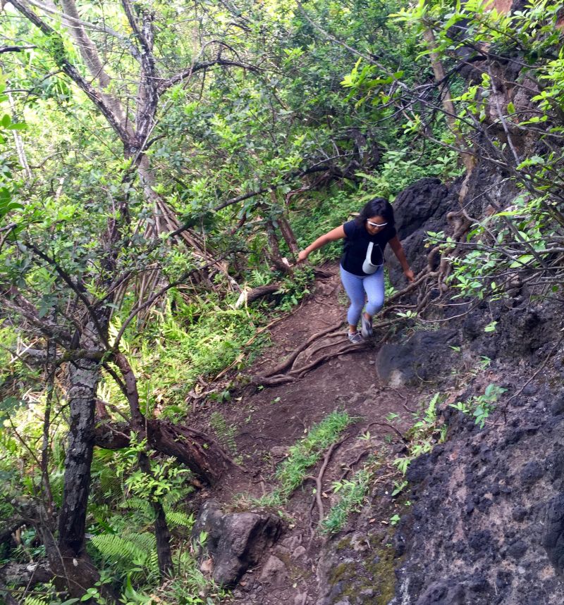 Crouching Lion Hike: start of the trail with tree roots and steep incline