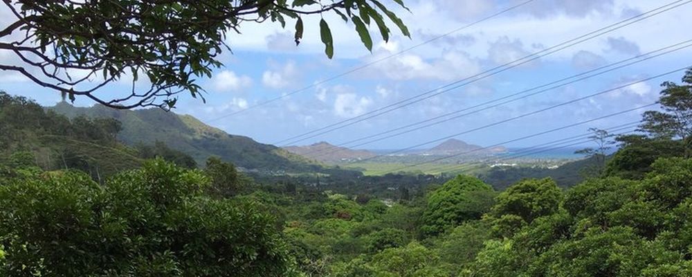 View from Maunawili Falls, Oahu