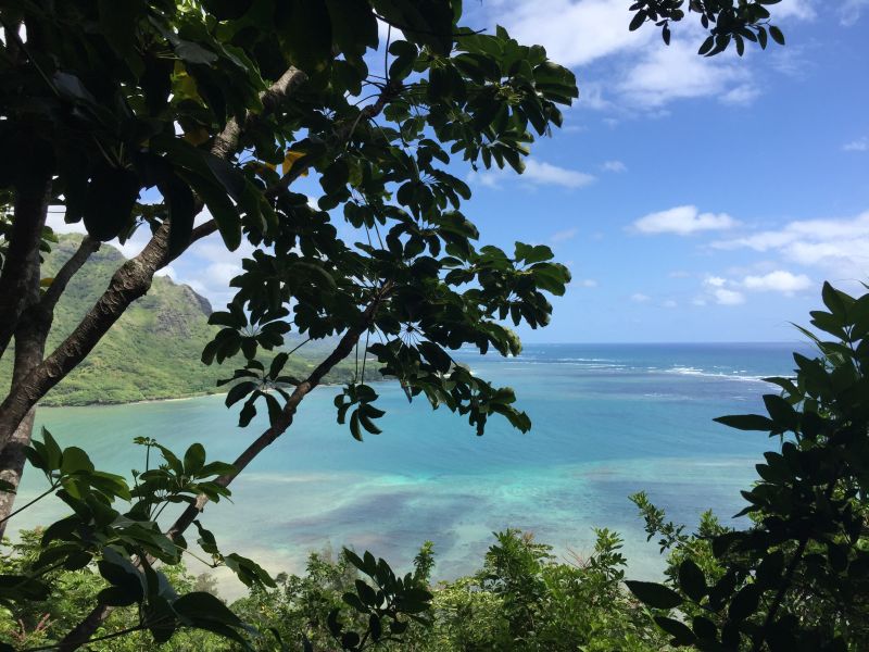 View to Kahana Bay from Crouching Lion trail