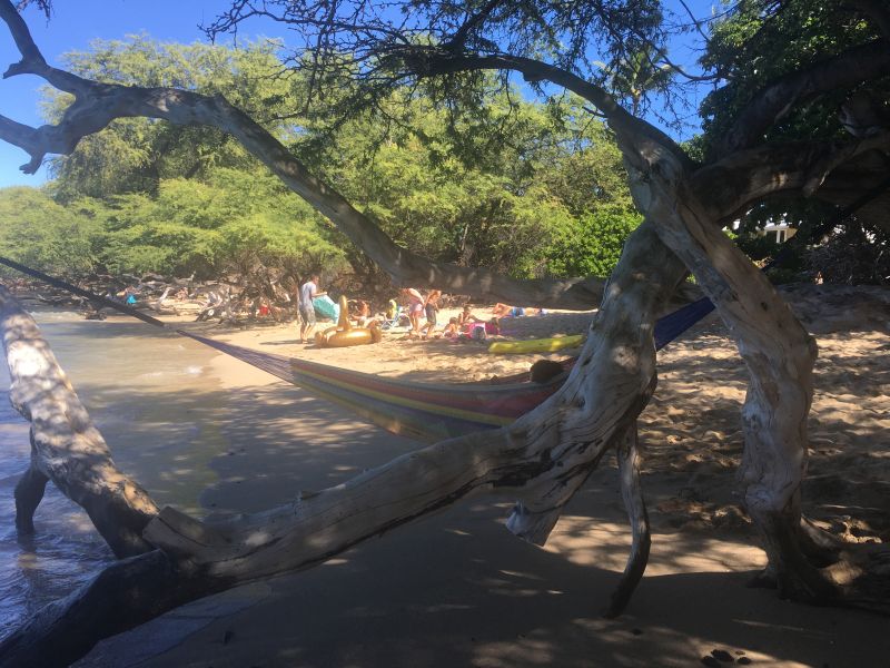 Waialea Beach - a hammock in the tree