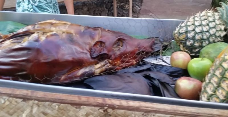 Slow roasted Kalua pig at Hawaiian luau