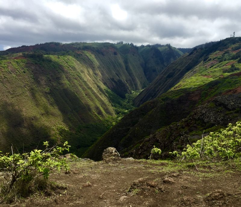 Maunalei Valley - the deepest valley on Lanai
