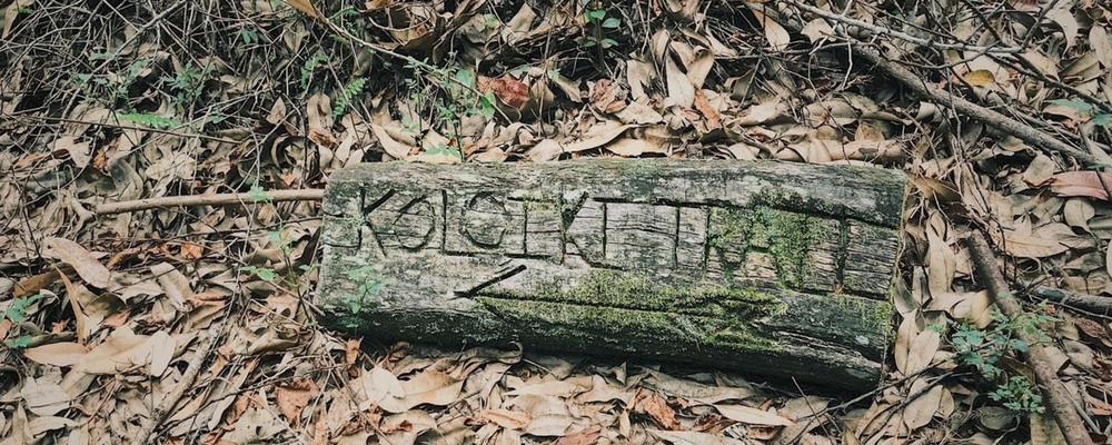 Koloiki Ridge Trail on Lanai, Hawaii