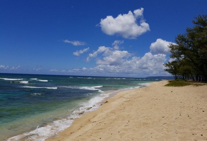 Mokuleia Beach was used as one of the filming locations for TV series Lost