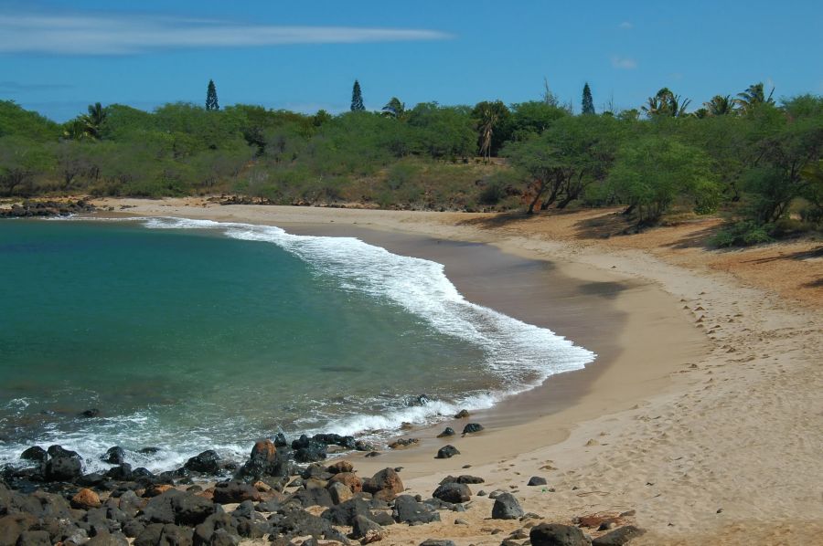 Dixie Maru beach is located in a small bay, protecting it from the ocean waves