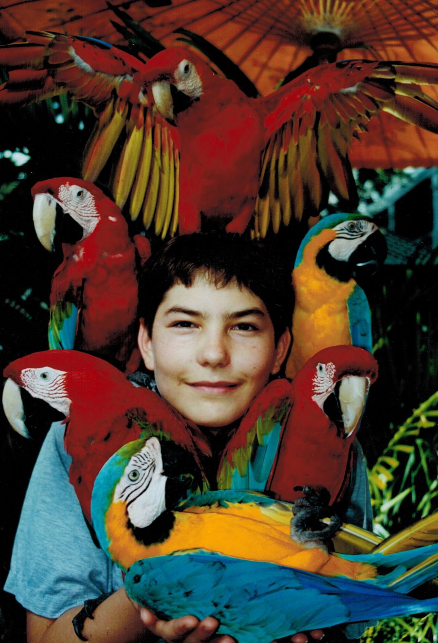 A photo of a young boy with five Macaw parrots in Lahaina, Maui