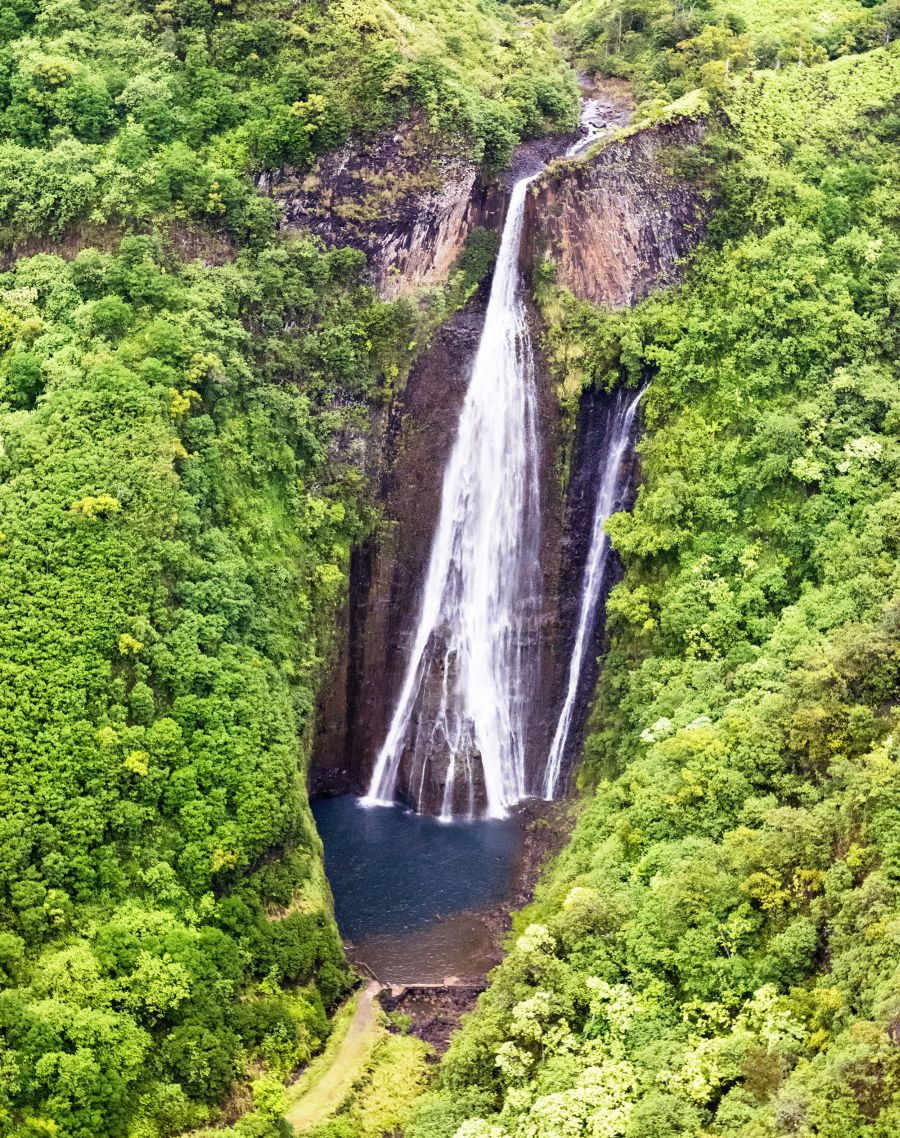 The old Paradise Park on O'ahu, where they filmed the bear cages scenes.  It's under construction right now. It's the start of the Manoa Falls trail,  which is closed right now. I