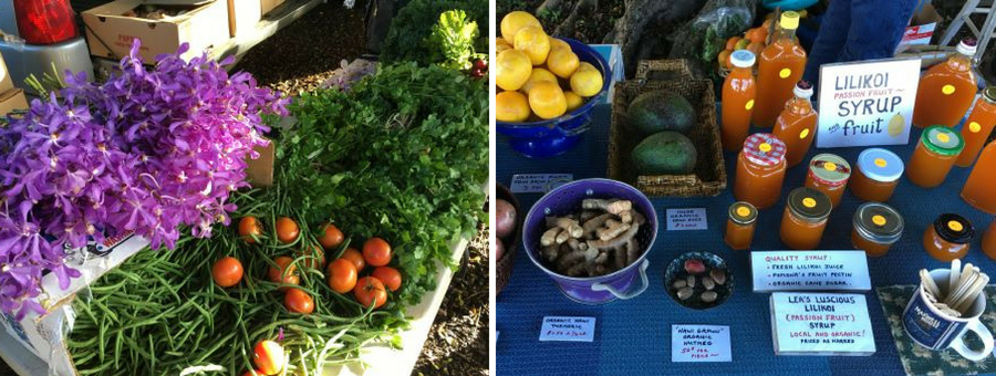 Farmers market in Hawi, under the beautiful banyan trees