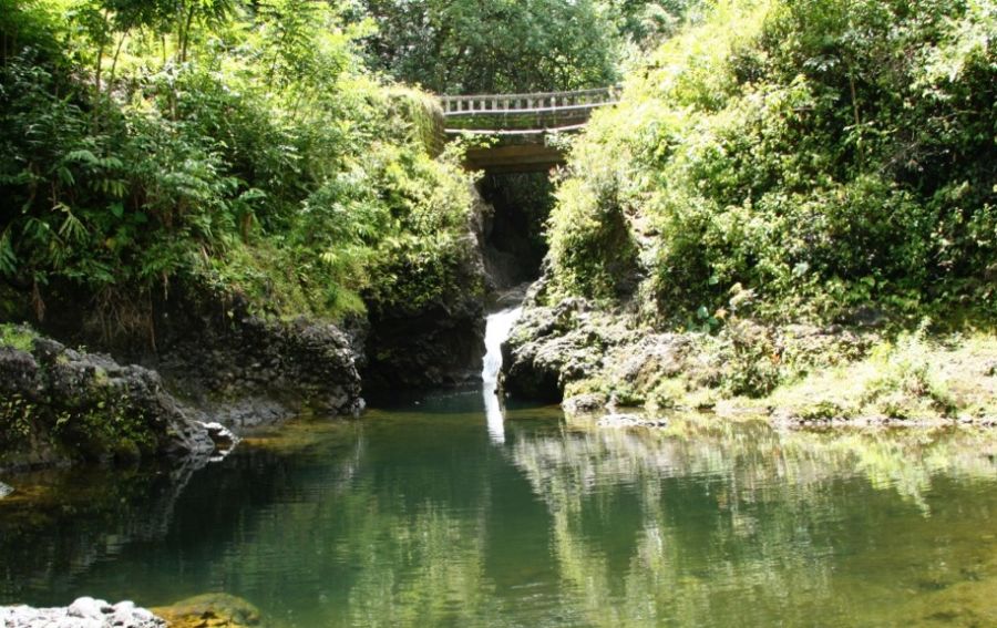 Road to Hana Itinerary: Ching's Pond