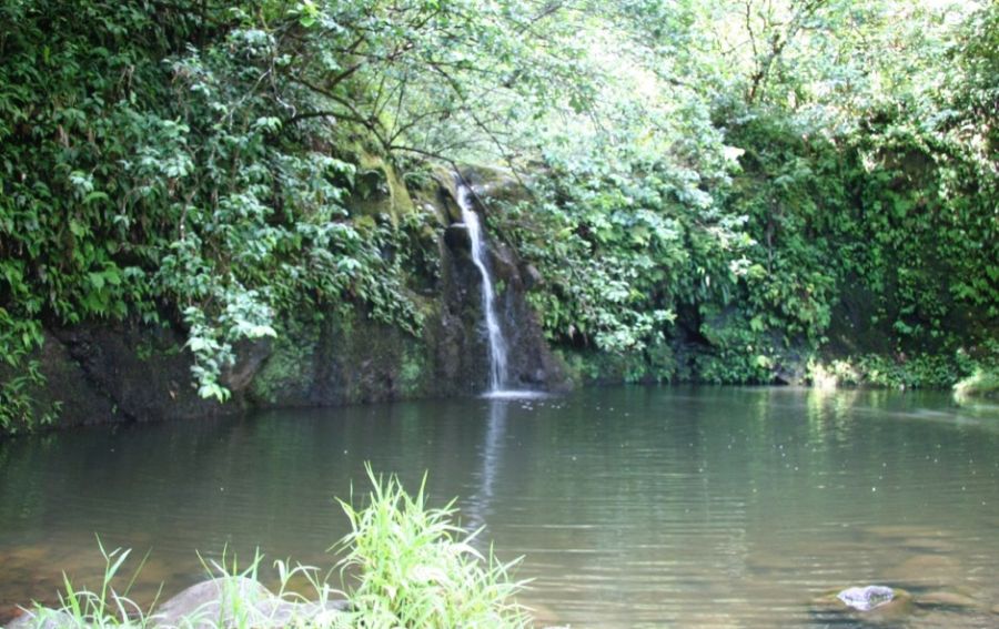 Road to Hana Itinerary: Haipuaena Falls