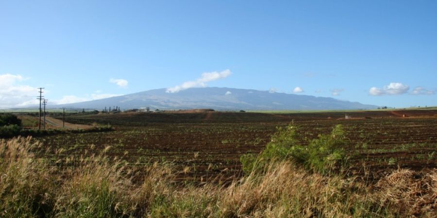 View of Haleakala from Paia, Maui