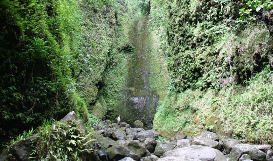 Road to Hana: Punaluu Falls