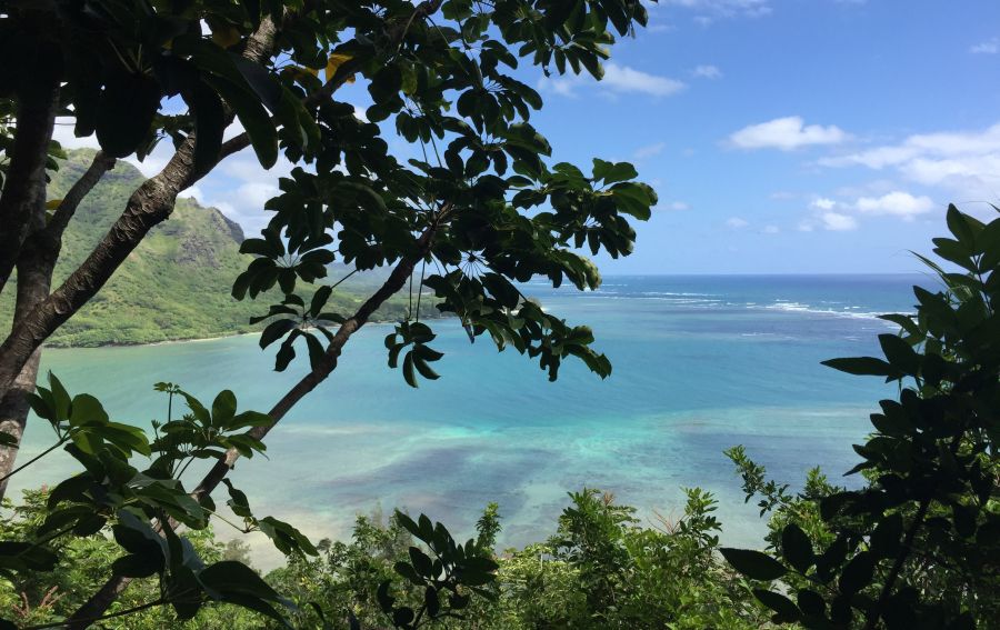 Best Oahu Hikes - Crouching Lion Trail; view of Kahana Bay