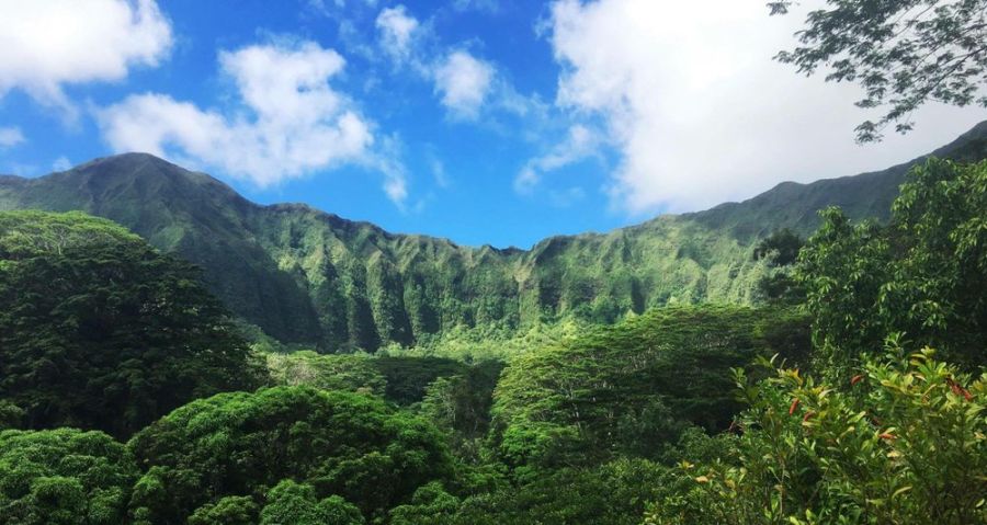 Beast Oahu Hikes - Maunawili Falls Trail; view of the valley