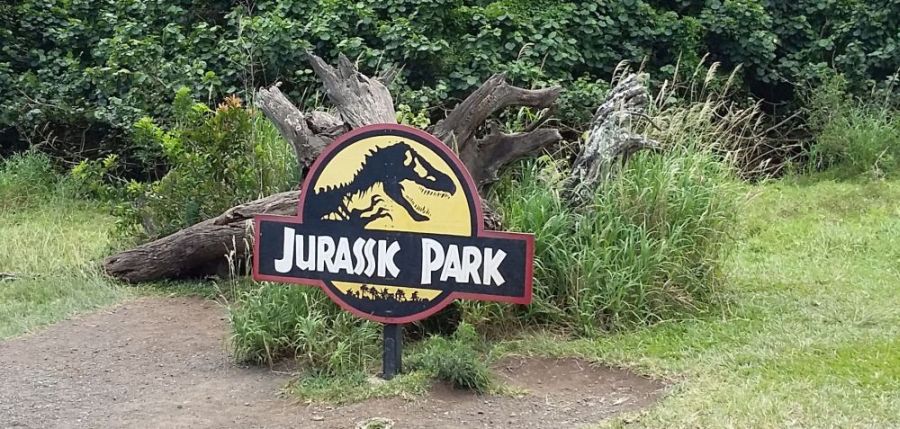 Filmed in Hawaii - Jurassic Park (1993); a fallen tree on Kualoa Ranch, Oahu