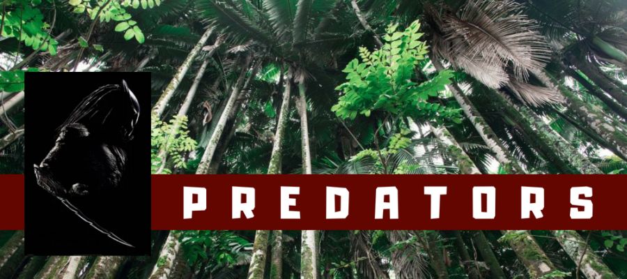 Filmed in Hawaii - Predators (2010); a collage with a dense tropical forest as background and the silhouette of a predator alien in it