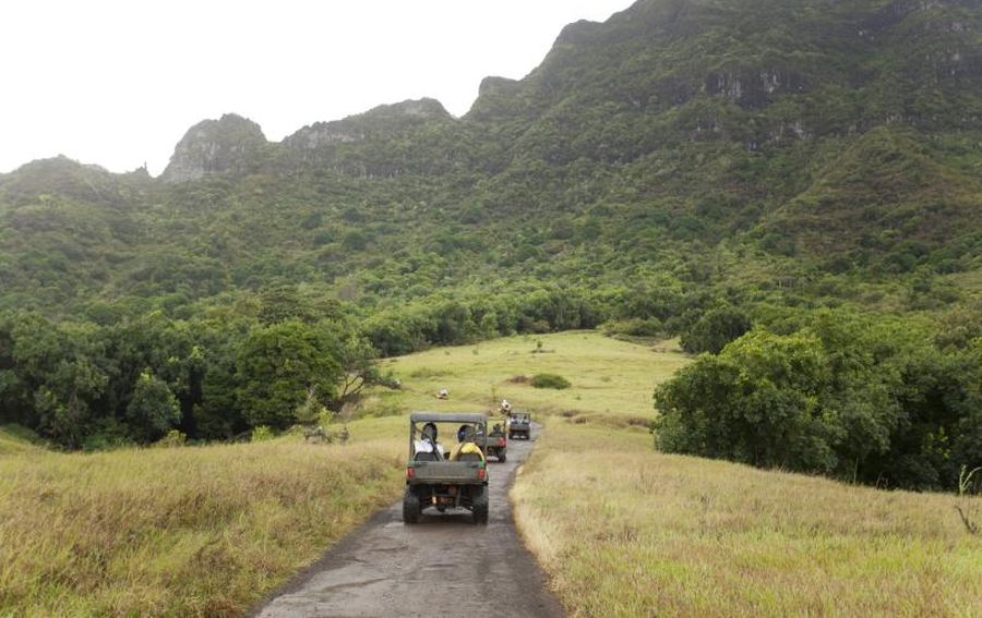The Descendants Filming Locations: a scenic tour at Kipu Ranch