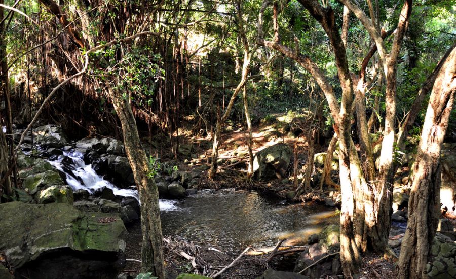 Jumanji: Welcome to the Jungle Filming Locations: Kapena Falls on Oahu