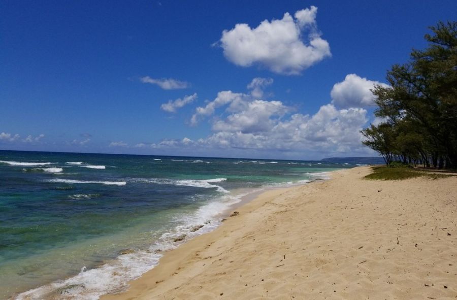 Forgetting Sarah Marshall Filming Locations: Mokuleia Beach, Oahu