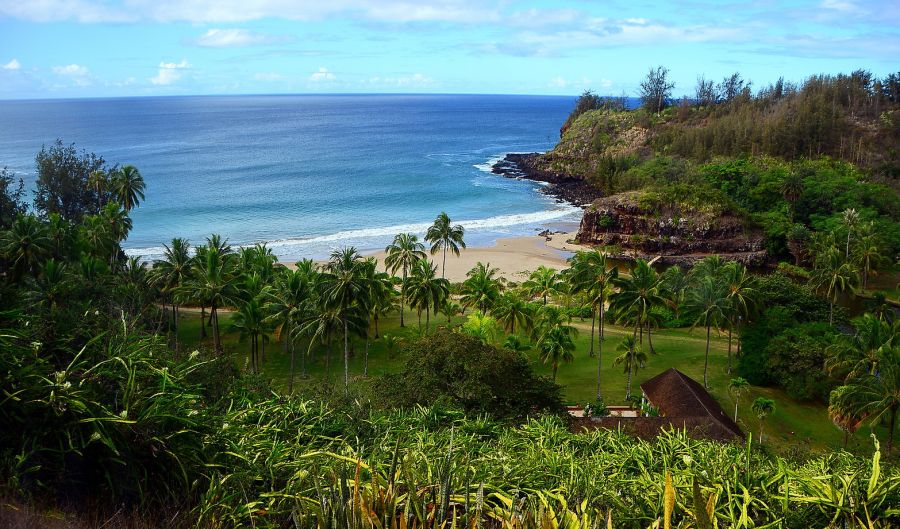 View down on Allerton Botanical Garden in Kauai