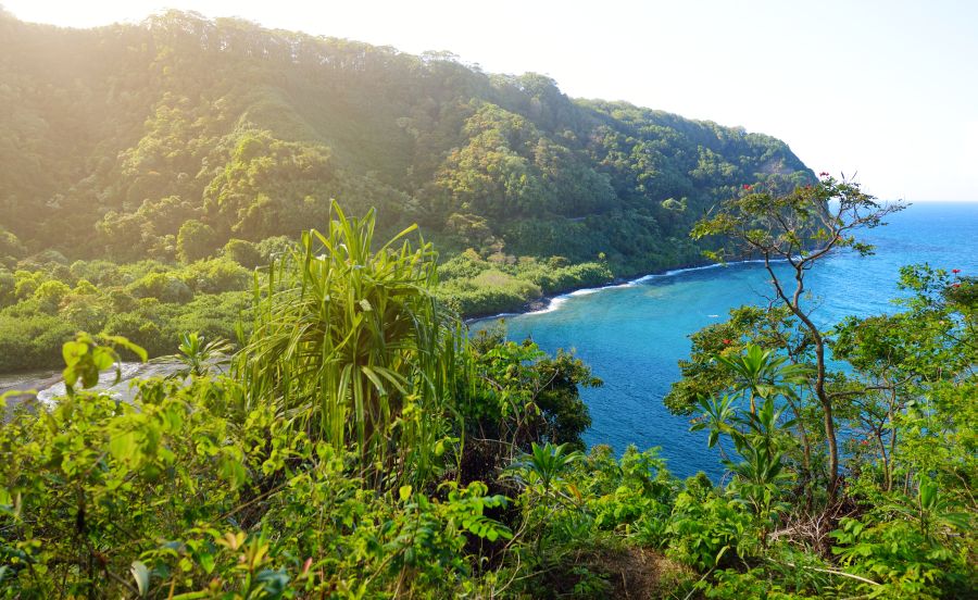 Road to Hana Stops: Beautiful views of Maui North Coast