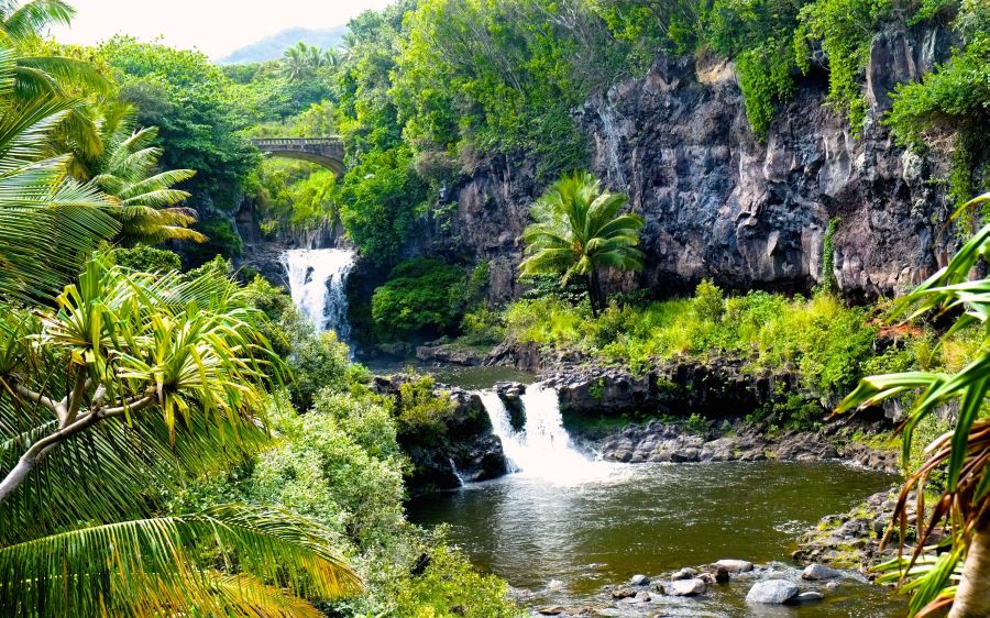 Road to Hana Stops: the Seven Sacred Pools of O'heo