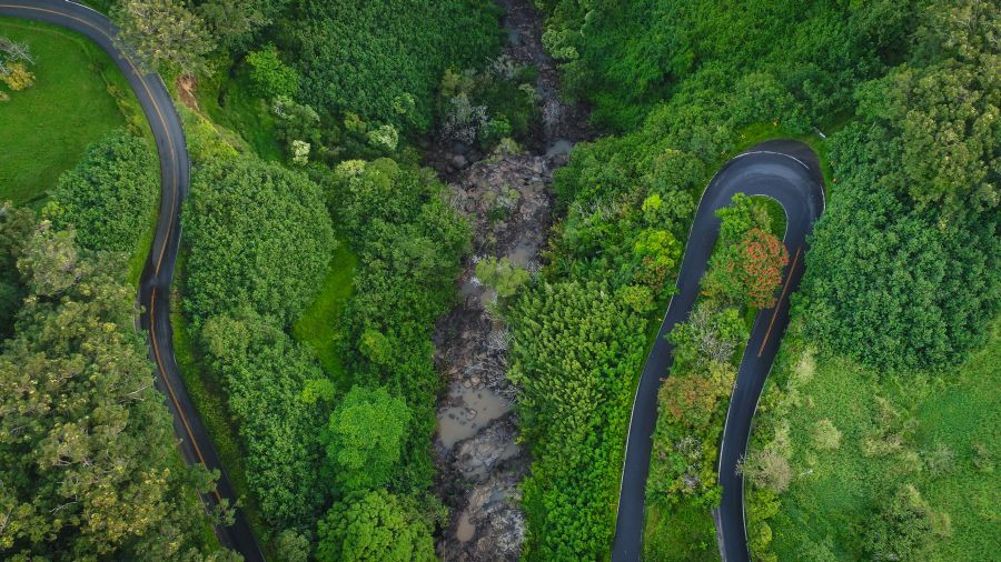 Aerial view of Hana Highway