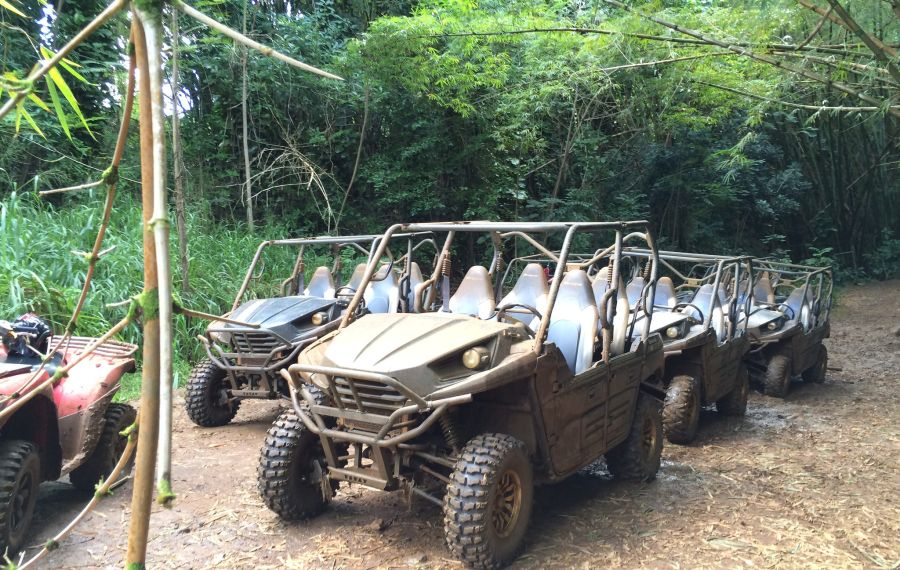 Kipu Ranch, Kauai - rest stop during an ATV tour