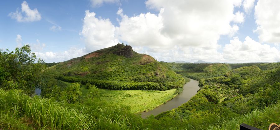 Wailua River is known as the only navigable river in Hawaii. It flows from Mt. Wai‘ale‘ale - one of the wettest spots in the world.