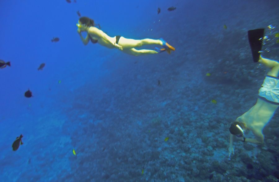 Adventures on Maui - snorkeling Molokini crater