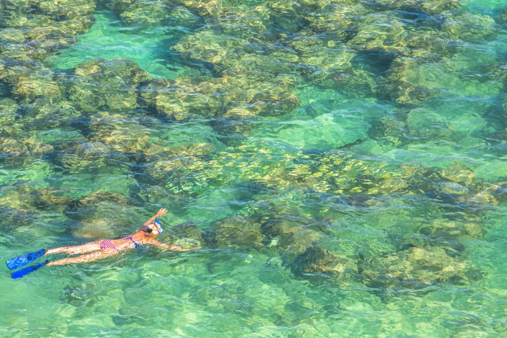 Honolua Bay is a snorkeler’s paradise where many Hawaiian green sea turtles love to hang out!