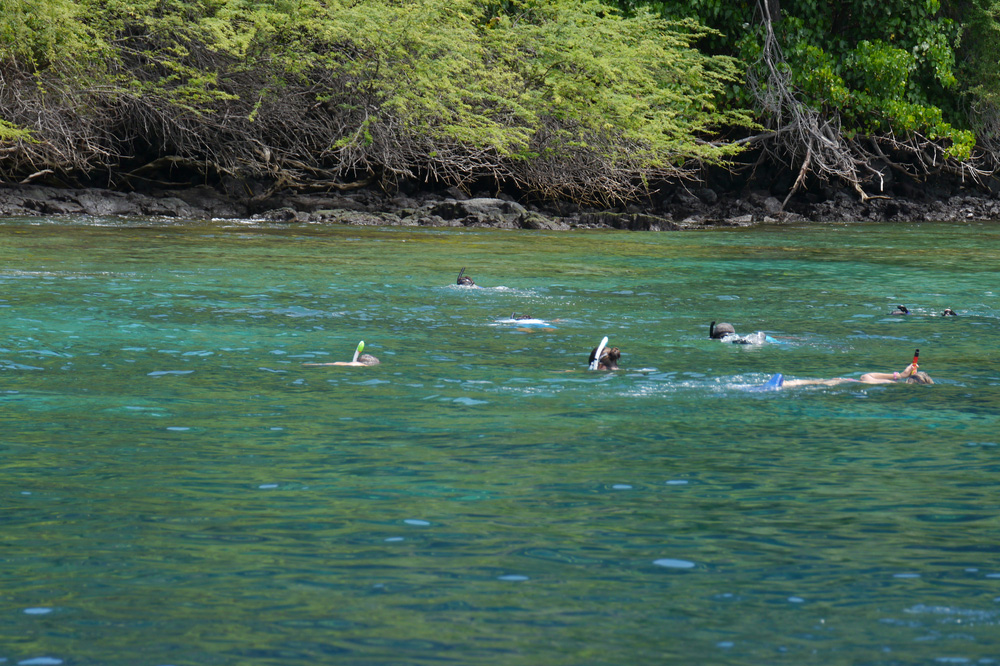 Kealakekua Bay is regarded as the best snorkeling location in all of Hawaii.