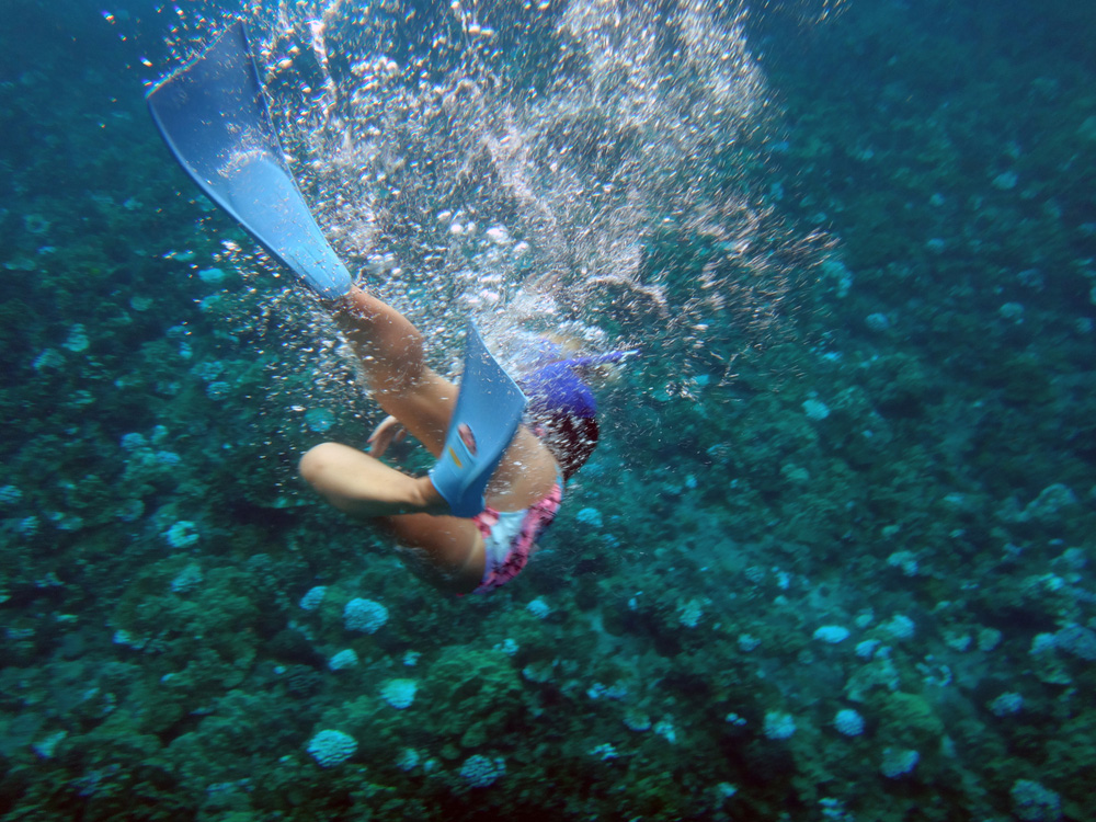 Molokini Crater is shaped like a crescent, creating a sheltered bay with incredible visibility of up to 150 feet.