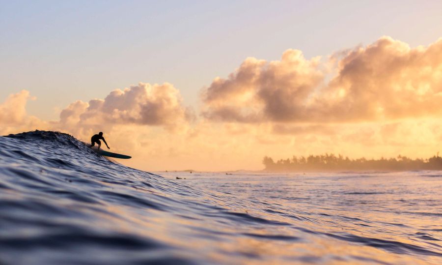 Haleiwa break supplies a steep drop and both lefts and rights to enjoy.