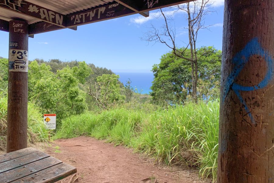 The shortest hike along Kealia trail - about 1.5 miles each way - ends a large rest area with picnic tables.